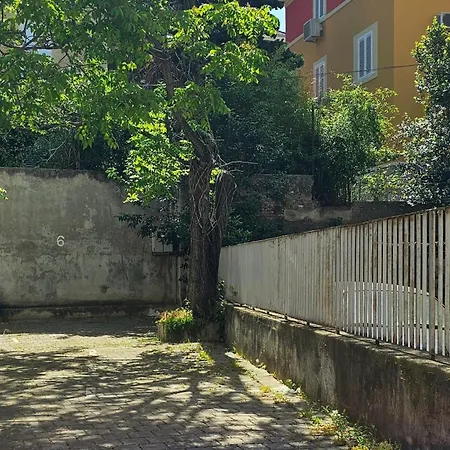 Nivi * Split