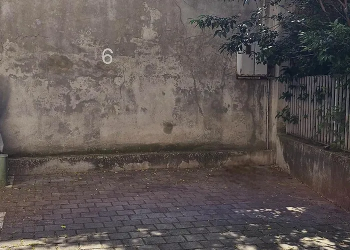 Nivi